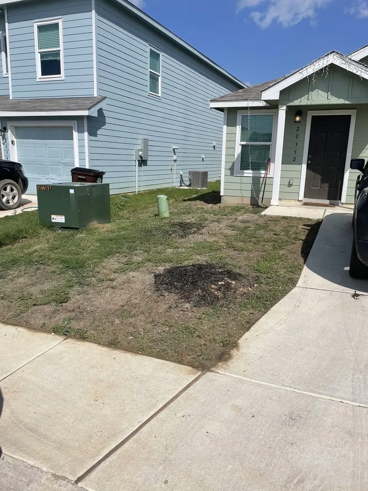 Expert landscaping services experts serving San Antonio, TX - Curb Appeal