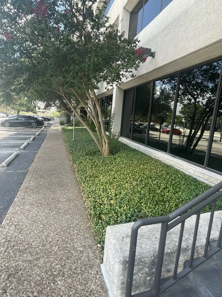 Trusted landscaping services experts serving San Antonio, TX - Curb Appeal