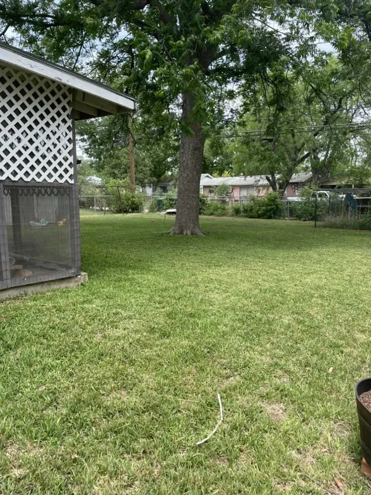 Reliable garden landscaping experts serving San Antonio, TX - Curb Appeal