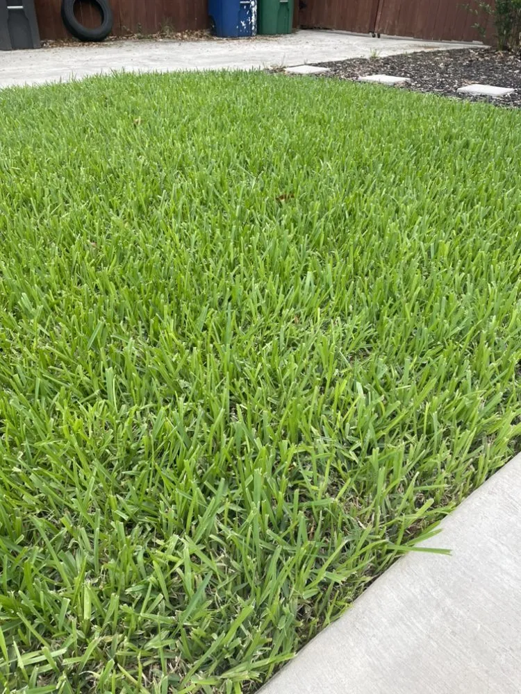 Local yard cleanup service for residential properties across San Antonio, TX - Curb Appeal