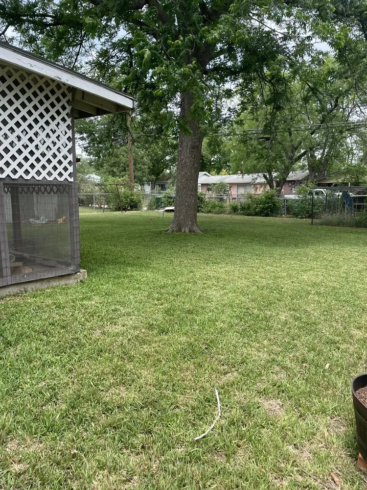 Local yard cleanup service in San Antonio, TX by Curb Appeal