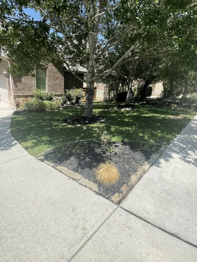 Trusted outdoor landscaping in San Antonio, TX by Curb Appeal