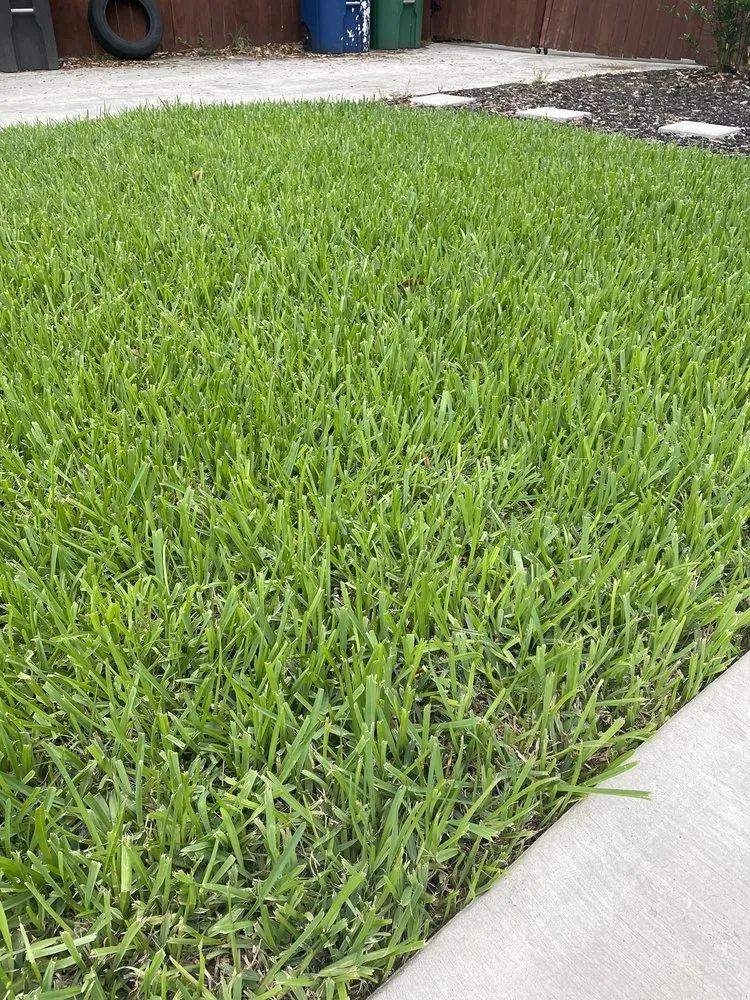 Expert outdoor landscaping with custom design across San Antonio, TX - Curb Appeal