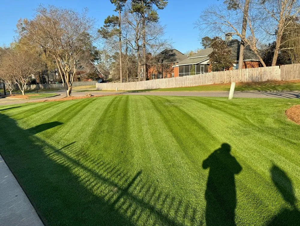 Reliable landscaping services for year-round maintenance in Evans, GA by Curb Appeal Services