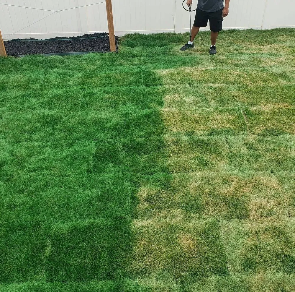 Custom garden landscaping for beautiful yards in Roy, UT by Curb Appeal Services