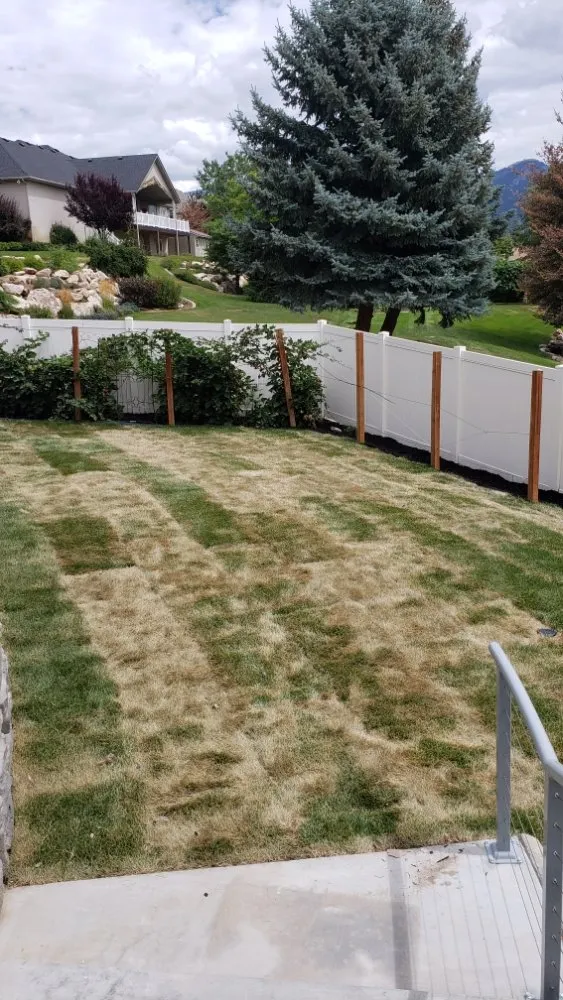 Custom lawn care service in Roy, UT by Curb Appeal Services