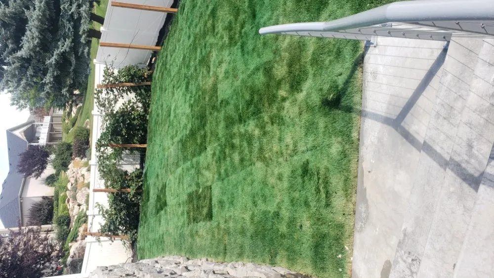 Expert lawn mowing service in Roy, UT by Curb Appeal Services