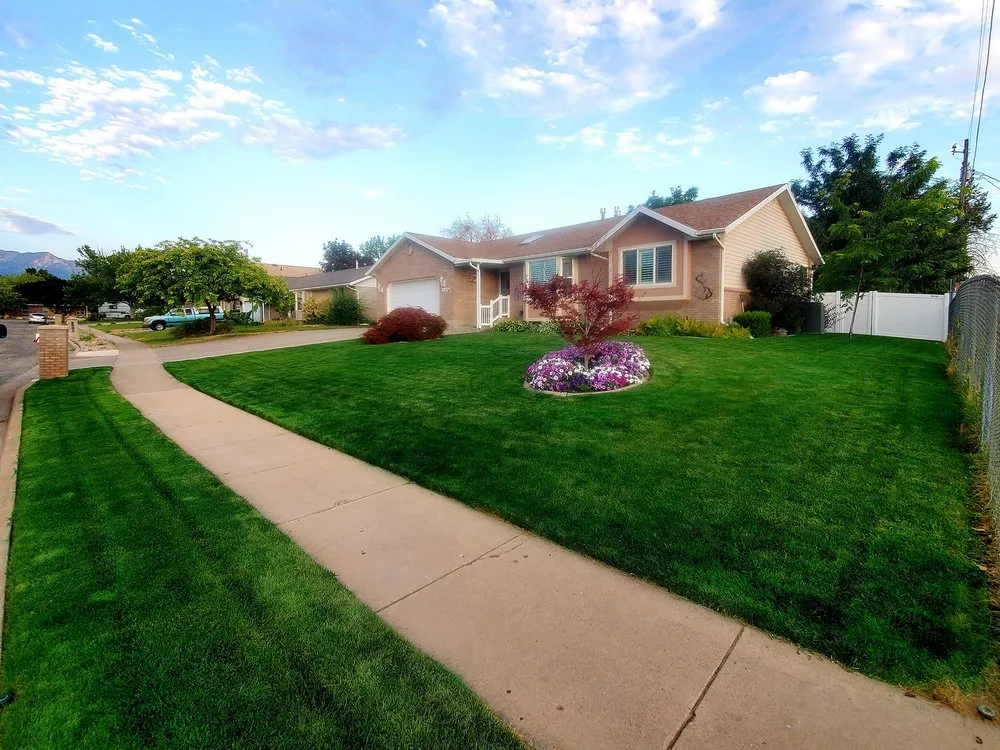 Top-rated yard cleanup service in Roy, UT by Curb Appeal Services