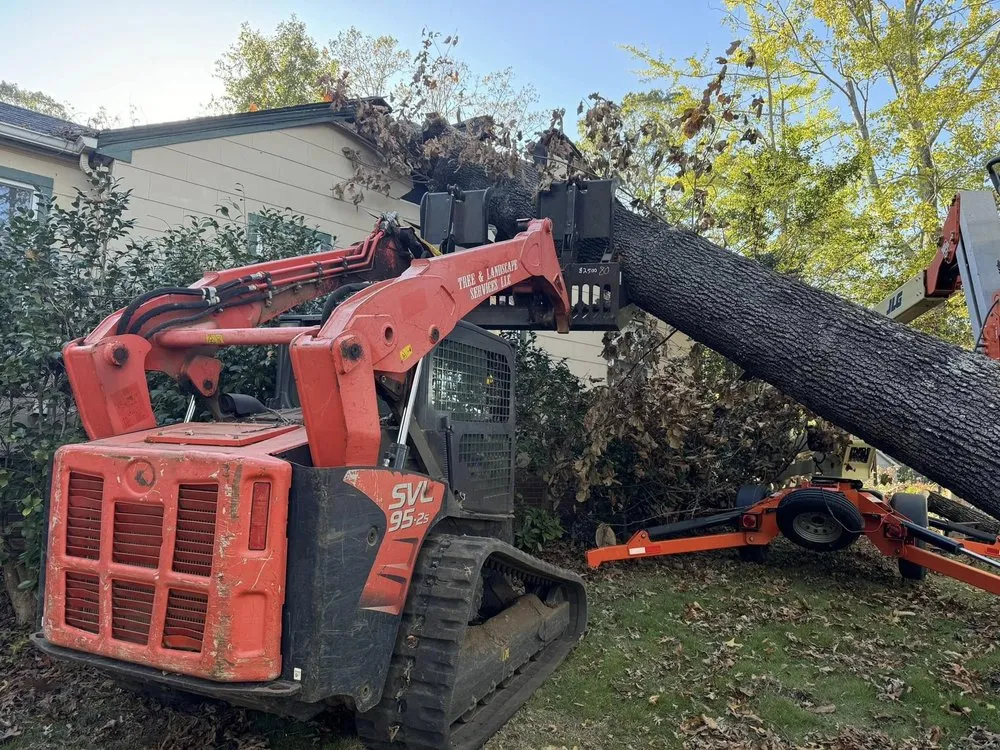 Top-rated yard maintenance experts serving Spartanburg, SC - Curb Appeal
