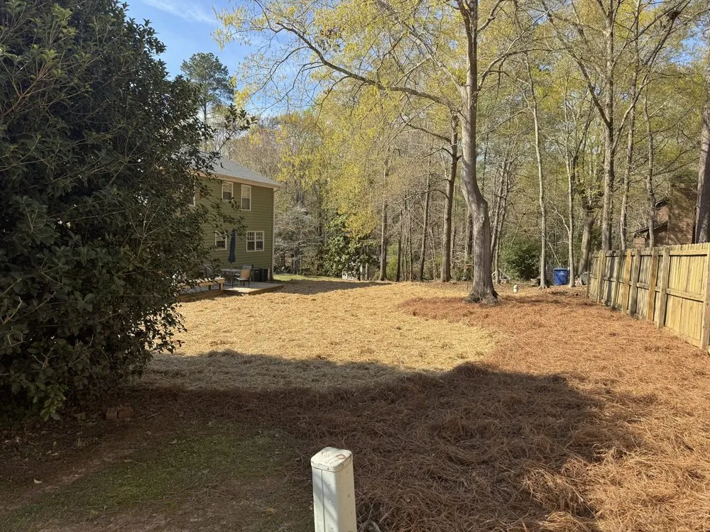 Affordable landscaping services experts serving Spartanburg, SC - Curb Appeal