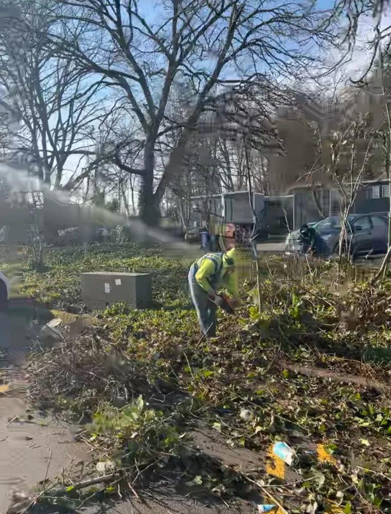 Expert lawn mowing service in Salem, OR by Curb Appeal Specialist