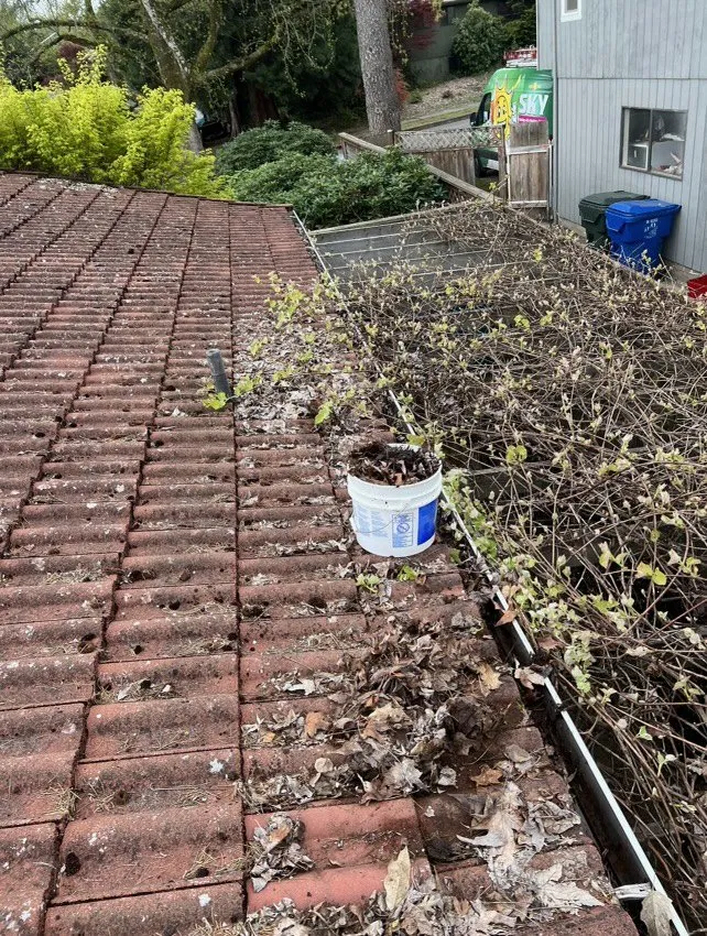 Local outdoor landscaping experts serving Salem, OR - Curb Appeal Specialist