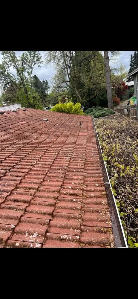 Trusted yard maintenance for homes across Salem, OR - Curb Appeal Specialist