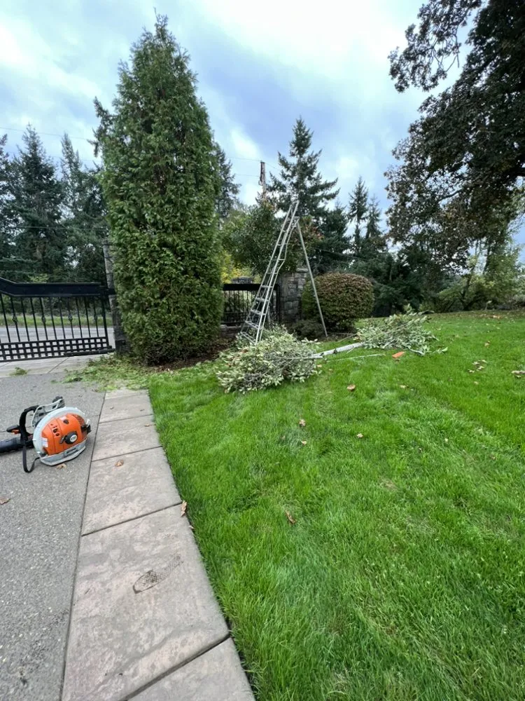 Top-rated landscape installation experts serving Salem, OR - Curb Appeal Specialist