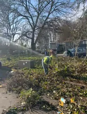 Curb Appeal Specialist Logo