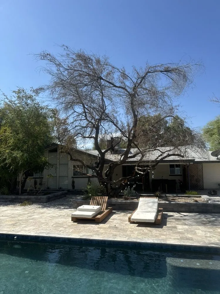 Reliable outdoor landscaping in Tempe, AZ - Curb Appeal