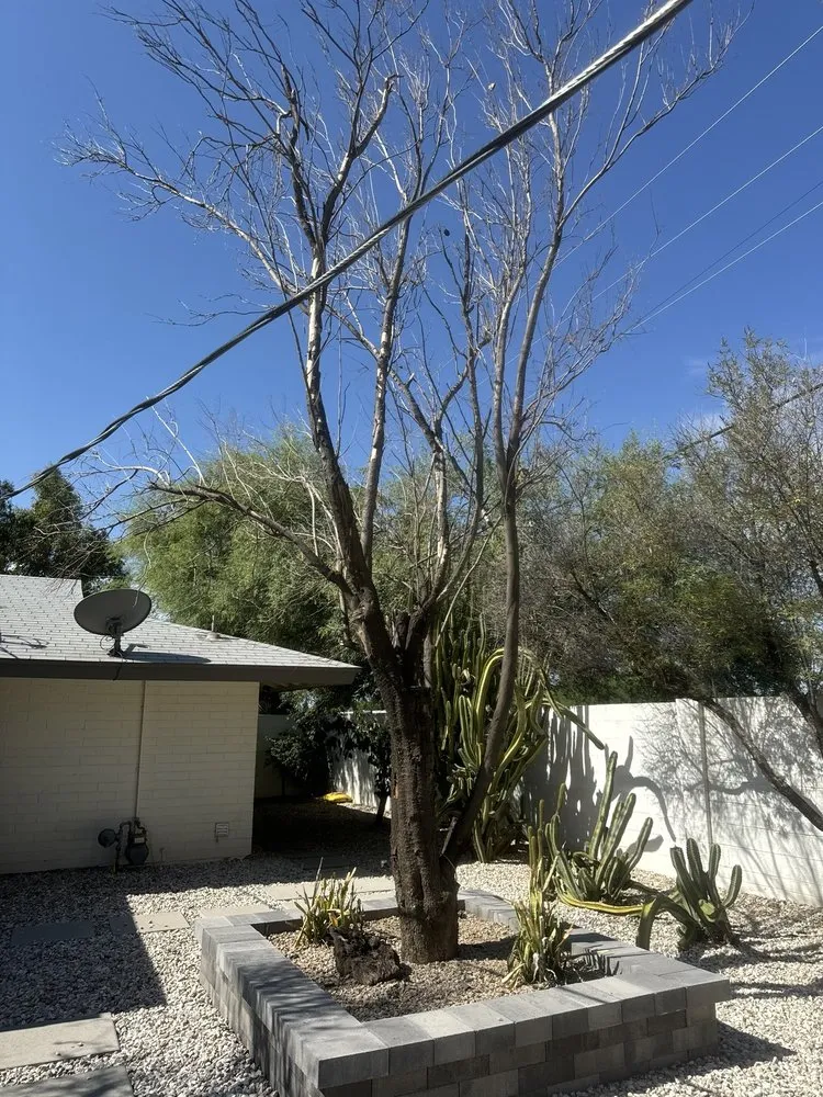 Local yard maintenance experts serving Tempe, AZ - Curb Appeal