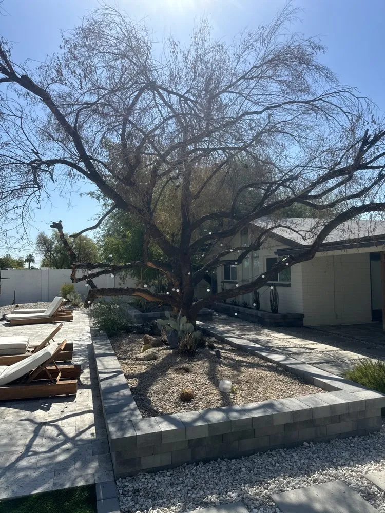 Reliable landscape design in Tempe, AZ - Curb Appeal