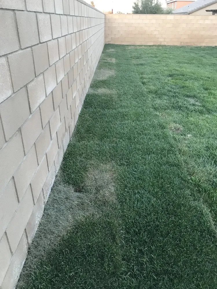 Trusted outdoor landscaping near you across Lancaster, CA - Curb Crafters