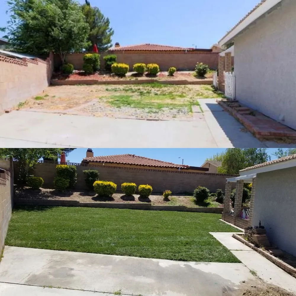 Custom lawn care service for beautiful yards across Lancaster, CA - Curb Crafters