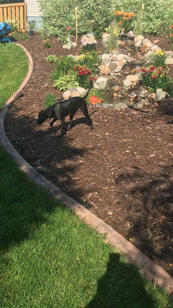 Expert yard maintenance for year-round maintenance across Buffalo, MN - Curb Creations