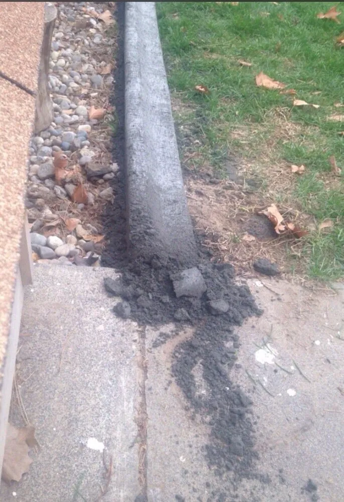 Reliable yard cleanup service experts serving Kennewick, WA - Curb Creations