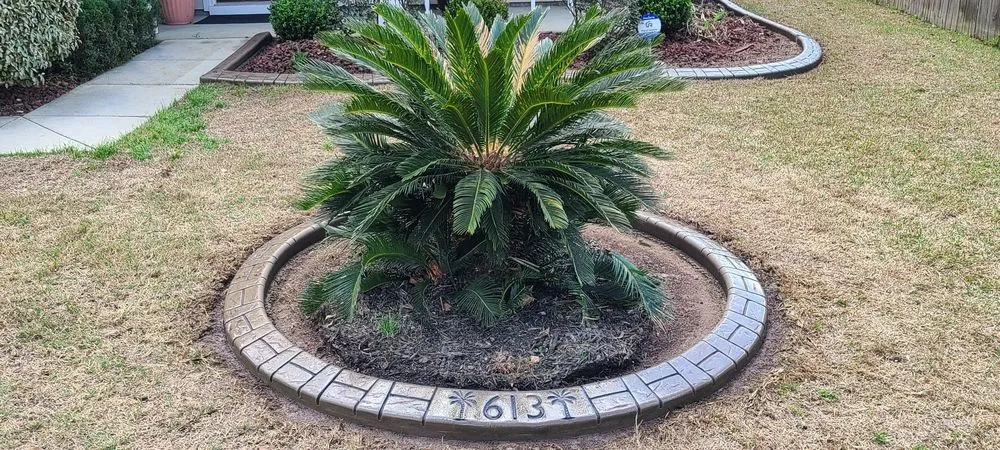 Affordable yard cleanup service for beautiful yards across Summerville, SC - Curb-Crete