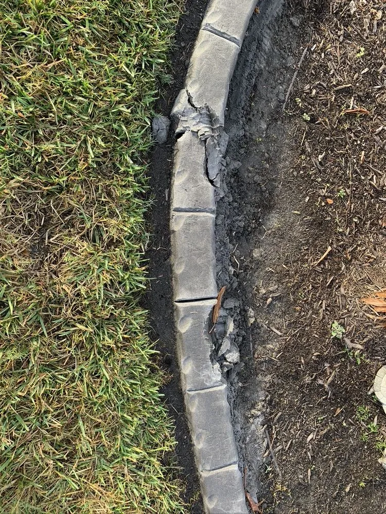 Top-rated landscaping services in Sarasota, FL by Curb It