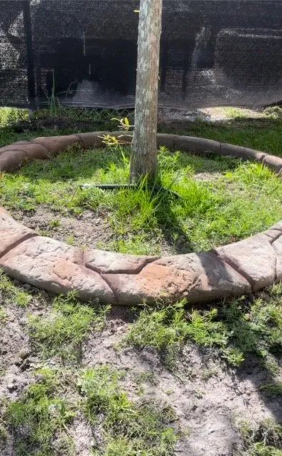 Custom lawn care service in Houston, TX by Curb It USA