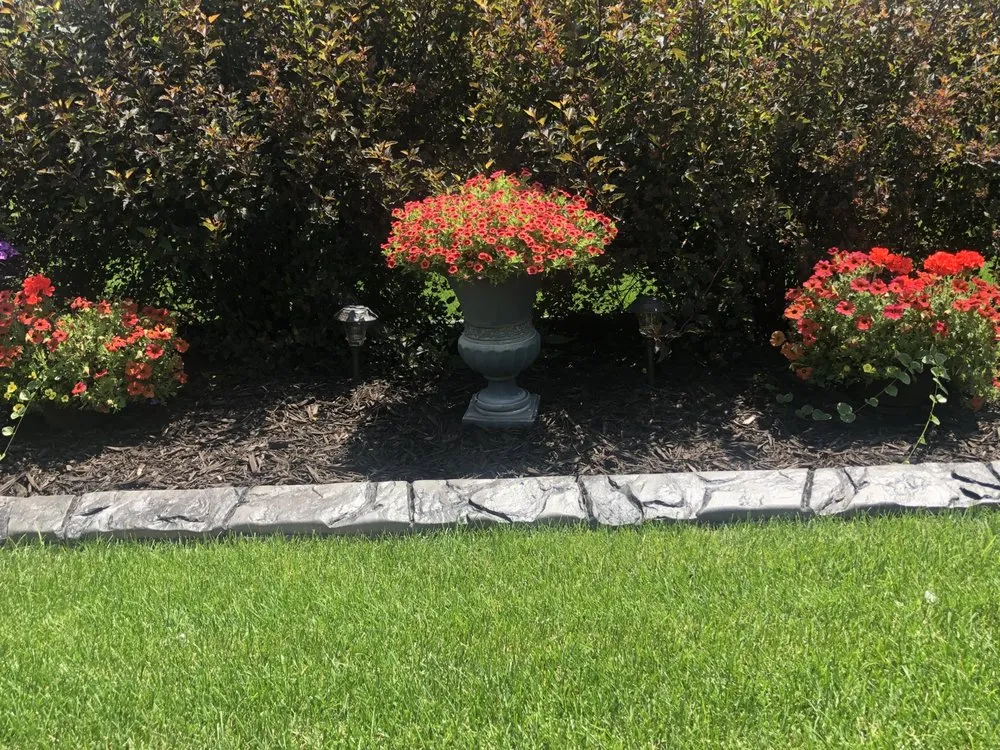 Expert landscaping services experts serving Northfield, MN - Curb