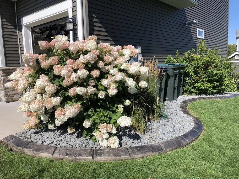 Reliable yard cleanup service in Northfield, MN by Curb