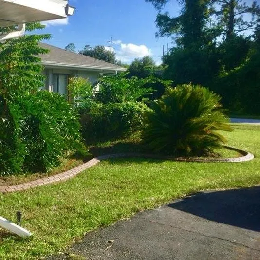 Expert landscape installation in Winter Springs, FL - Curb Styles
