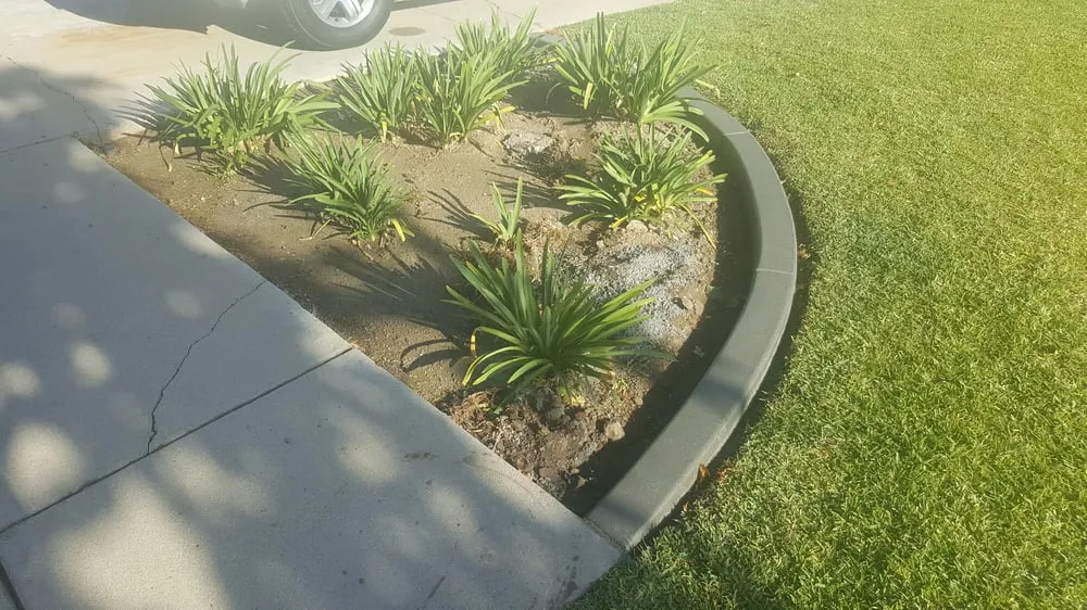 Top-rated landscaping services for residential properties across Riverside, CA - Curb Tech