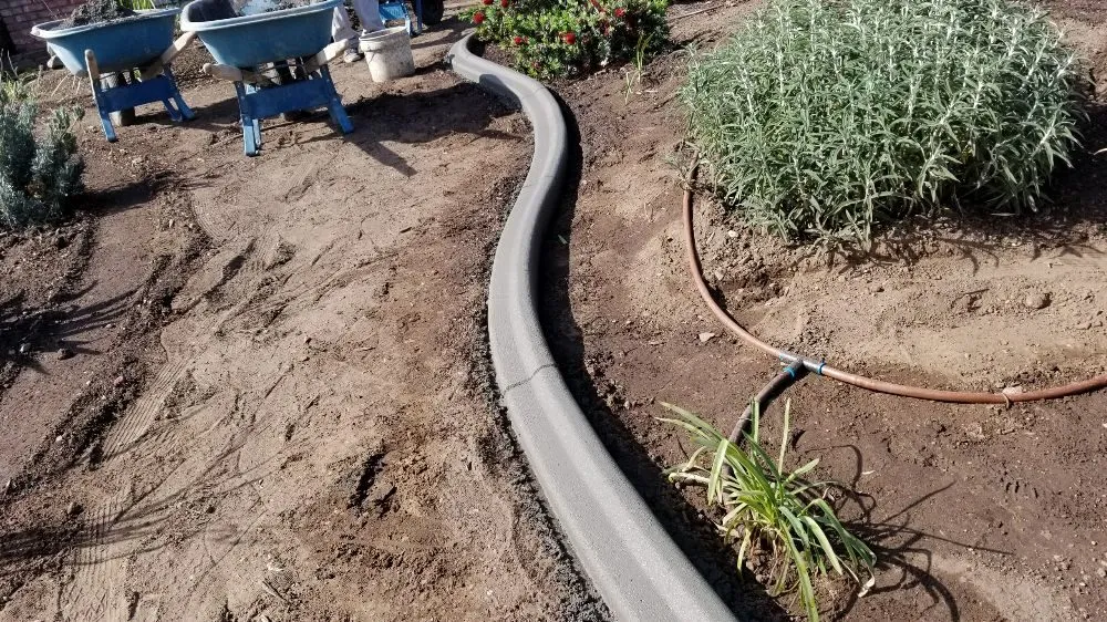 Top-rated residential landscaping for year-round maintenance in Riverside, CA by Curb Tech