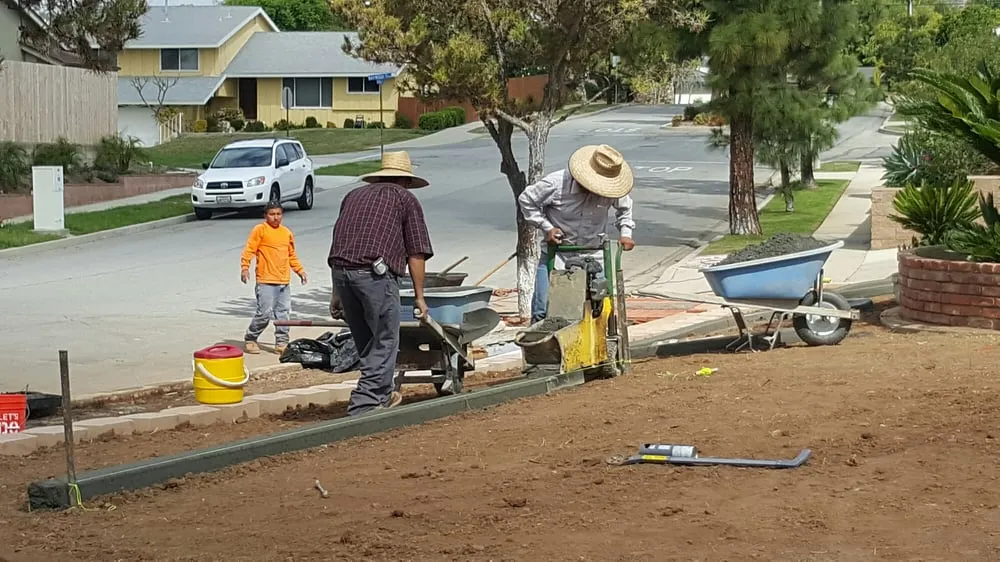 Top-rated landscape installation for year-round maintenance in Riverside, CA by Curb Tech
