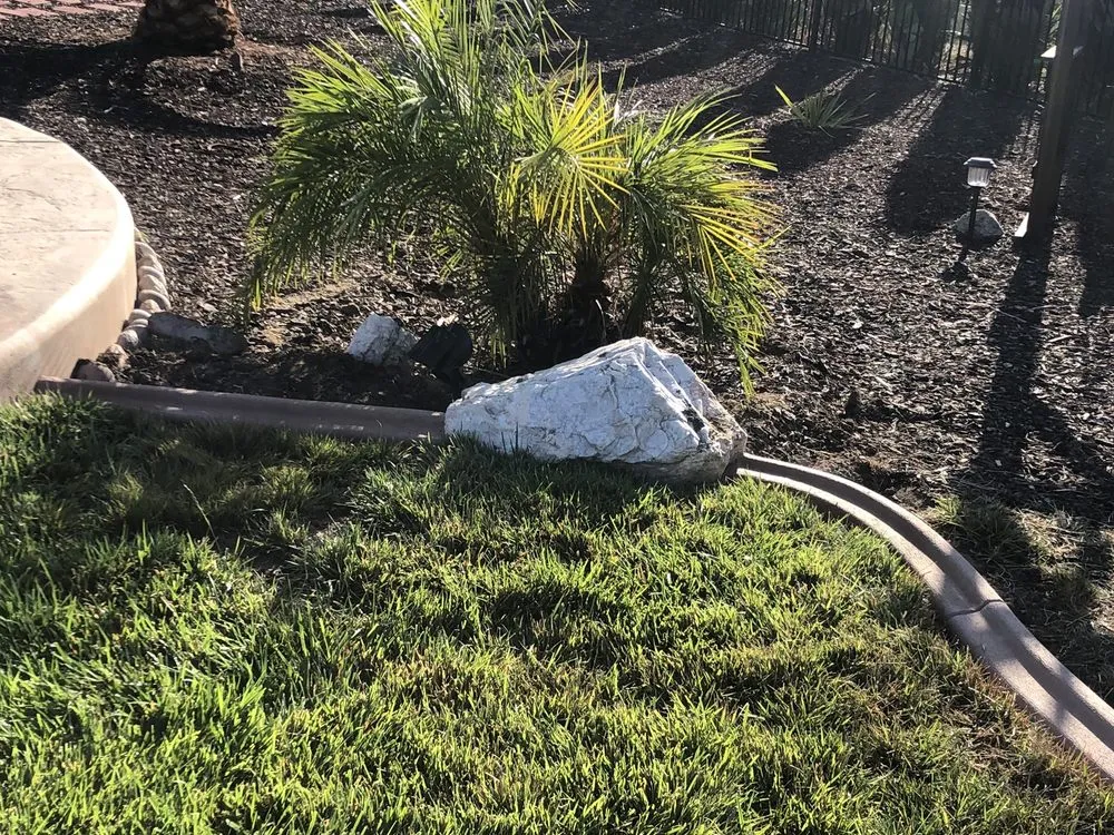 Professional lawn mowing service experts serving Riverside, CA - Curb Tech