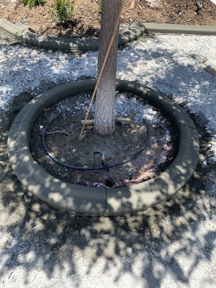 Expert residential landscaping in Riverside, CA by Curb Tech