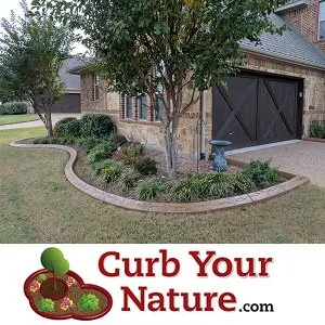 Top-rated yard cleanup service for beautiful yards in Roanoke, TX by Curb Your Nature