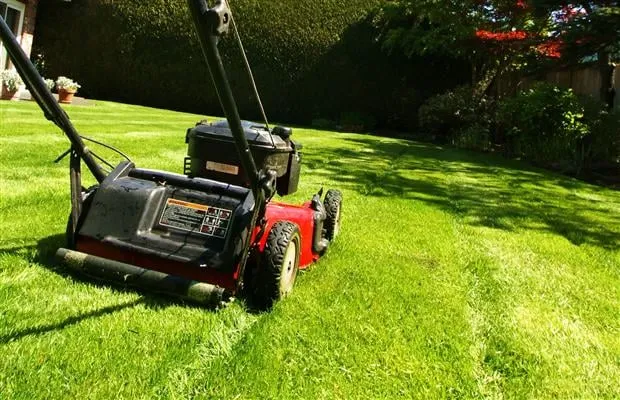 Trusted lawn mowing service in Meridian, ID - Curbing Guy