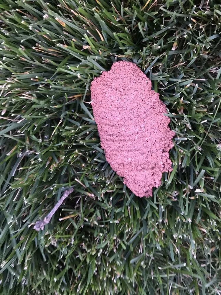 Expert landscaping services for residential properties across West Jordan, UT - Curbman