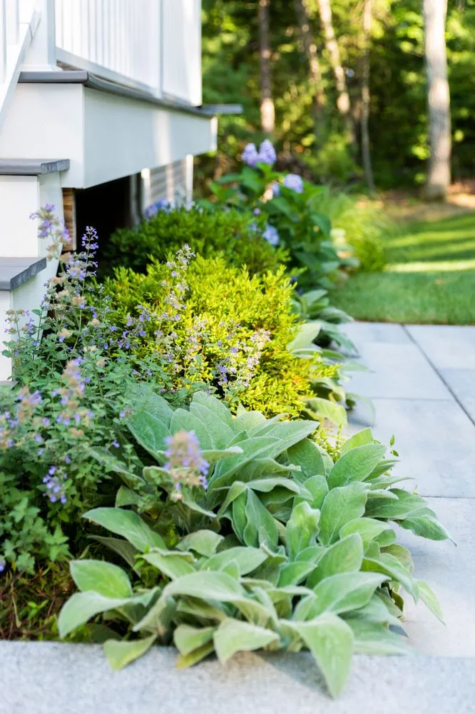 Professional yard cleanup service in Wellesley, MA by Curbs Studio