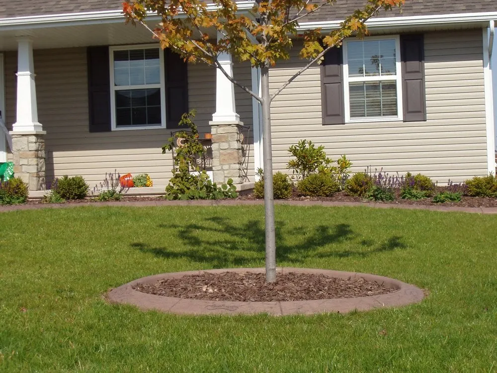 Custom landscaping services for residential properties in Black Creek, WI by Curbscape