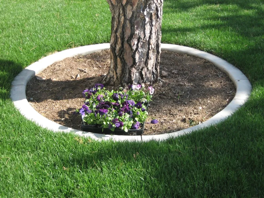 Expert lawn care service experts serving El Cajon, CA - Curbscape