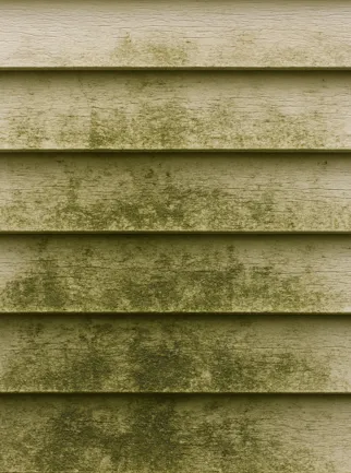 Trusted landscape design in Eagan, MN by Curbscape Restoration