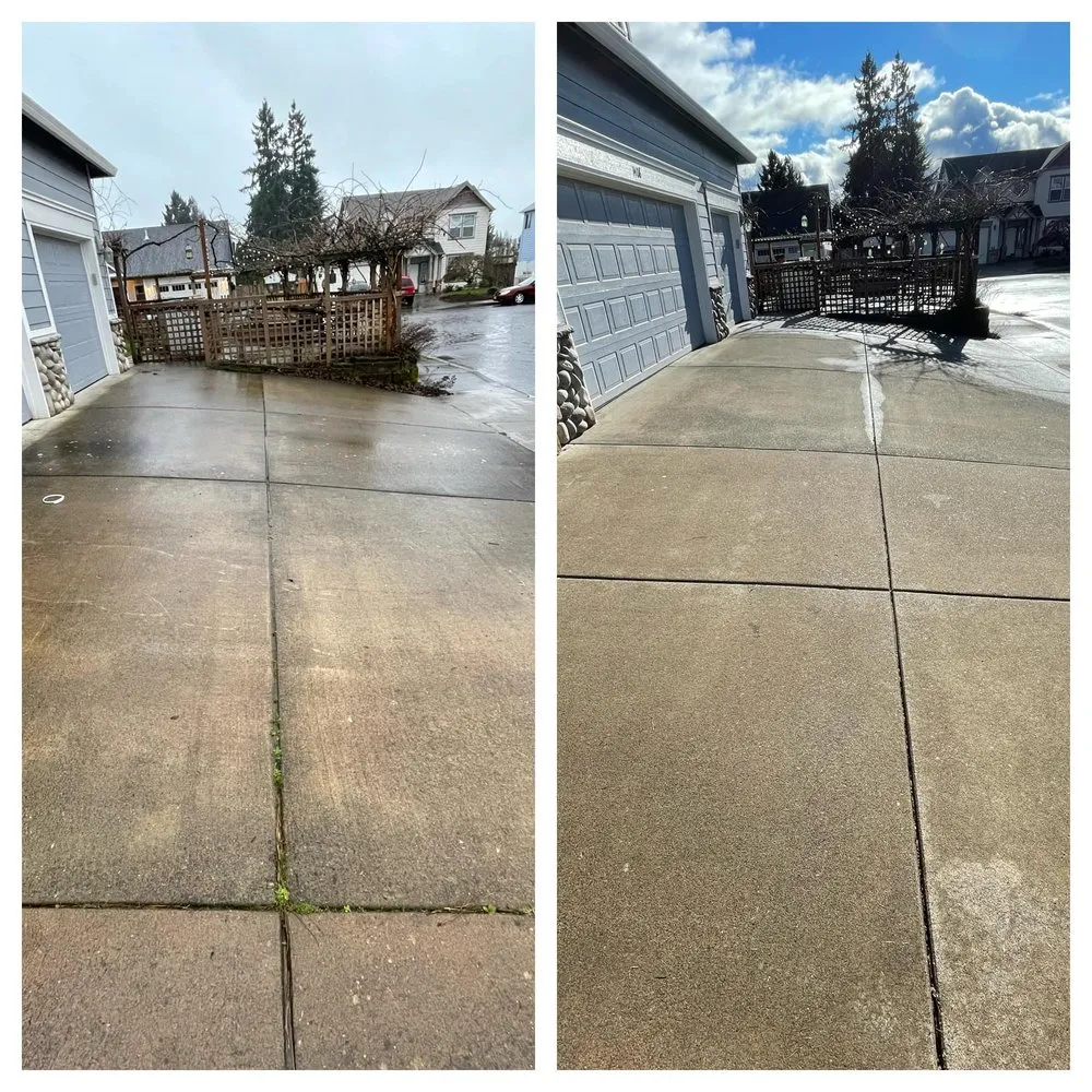 Professional outdoor landscaping in Camas, WA - Curbshine Exteriors