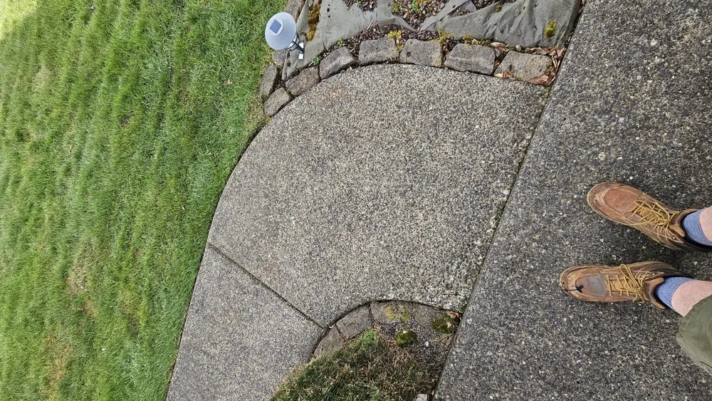 Affordable yard cleanup service for year-round maintenance in Camas, WA by Curbshine Exteriors