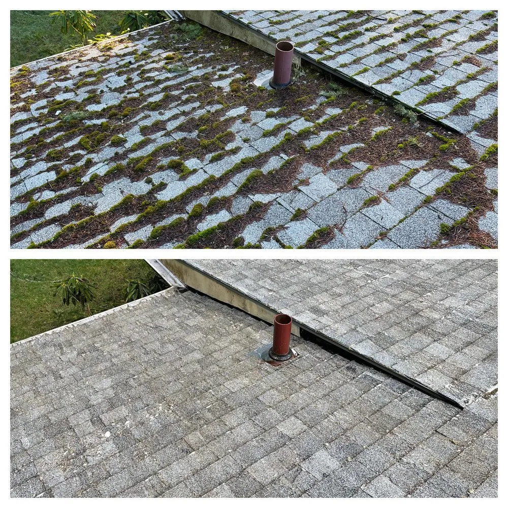 Reliable yard cleanup service near you in Camas, WA by Curbshine Exteriors