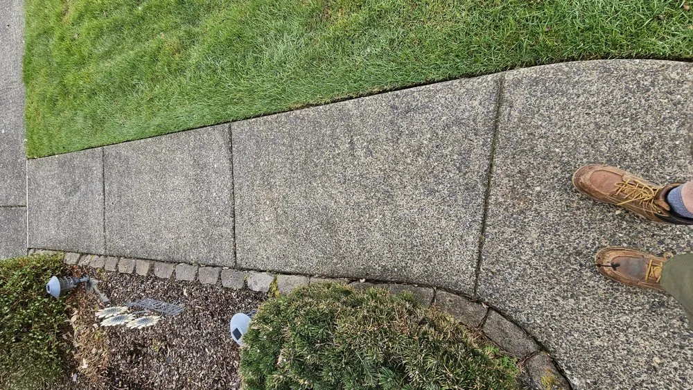 Professional landscaping services in Camas, WA - Curbshine Exteriors