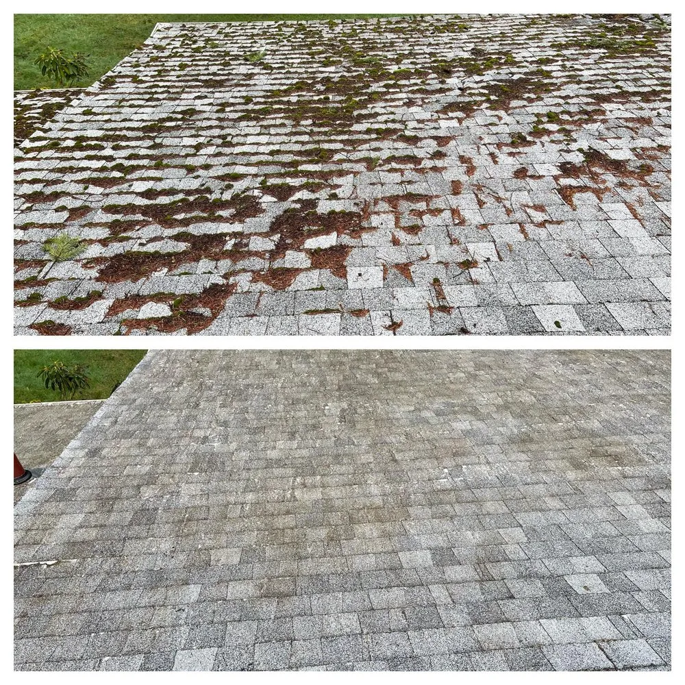 Expert garden landscaping experts serving Camas, WA - Curbshine Exteriors