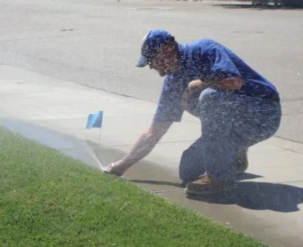 Local landscaping services in Miami, FL by Curbside Creations